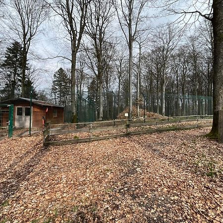 Hochwald Lodge Morbach Luaran gambar