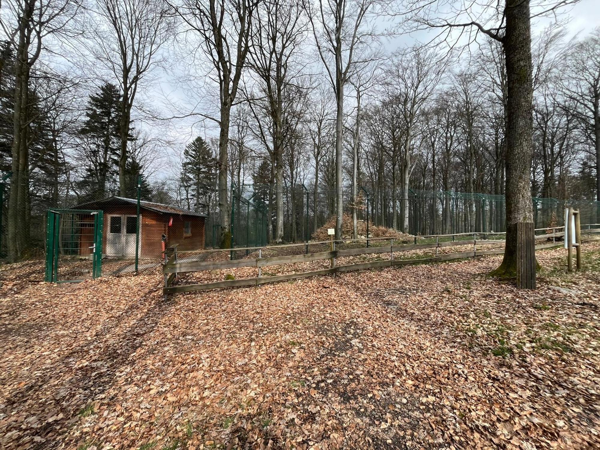 Hochwald Lodge Morbach Luaran gambar